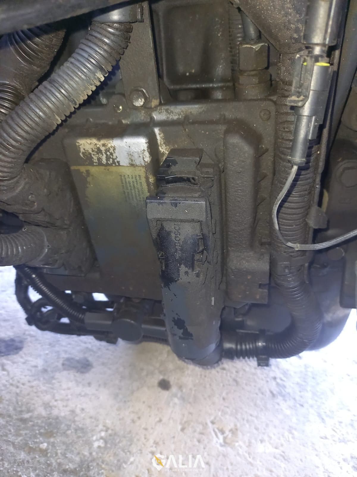 IVECO CURSOR 8 - Main